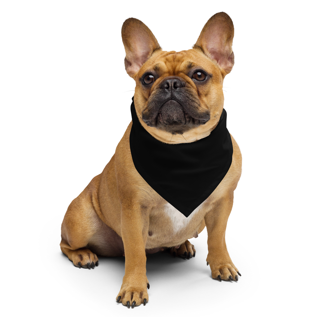 Bandana