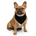 Bandana